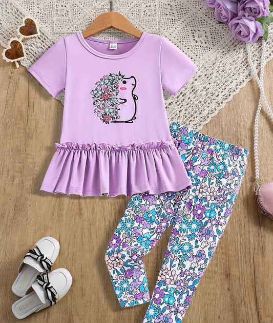 Hedgehog T Shirt Set